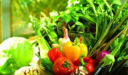 菜棚吃瓜最新事件爆料,揭秘最新事件背后的惊人真相